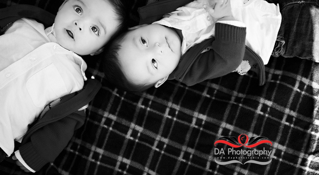 Baby twins portrait