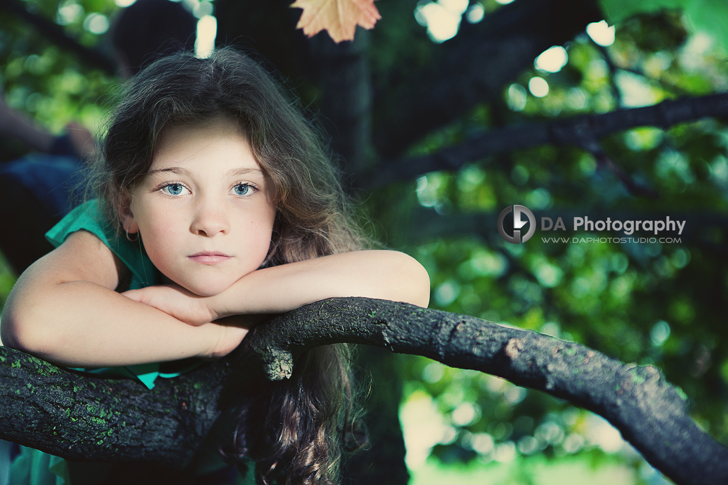 What could be more fun than taking pictures in a tree? - Lifestyle Photography On Location