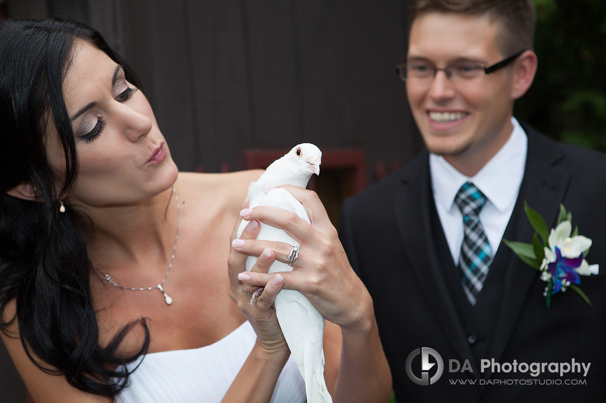 The much-anticipated release of the dove - DA Photography, Weddings