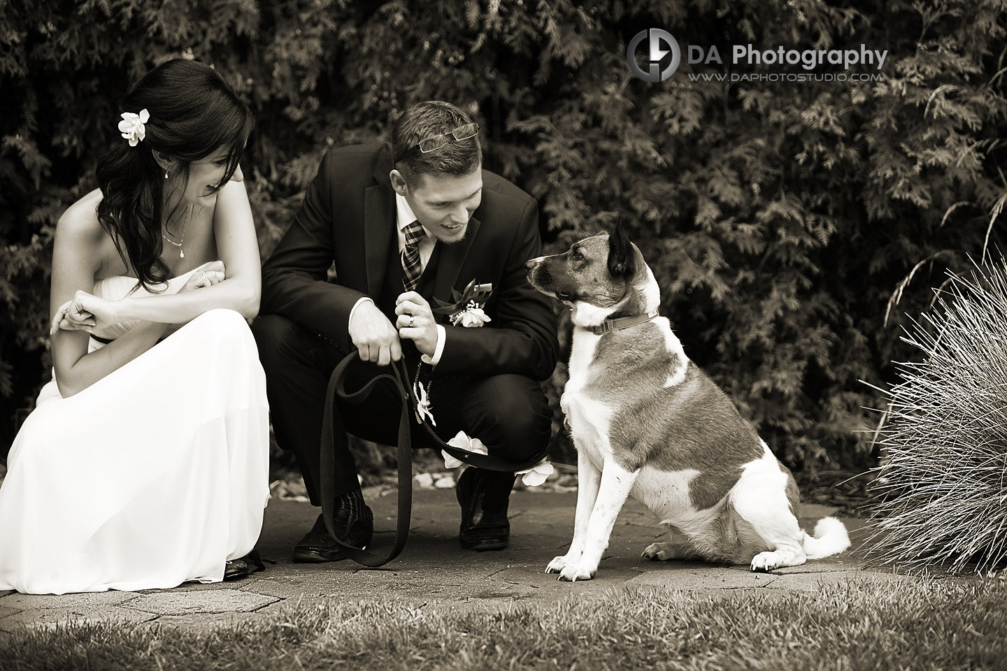 And they call it Puppy Love - DA Photography, wedding photography