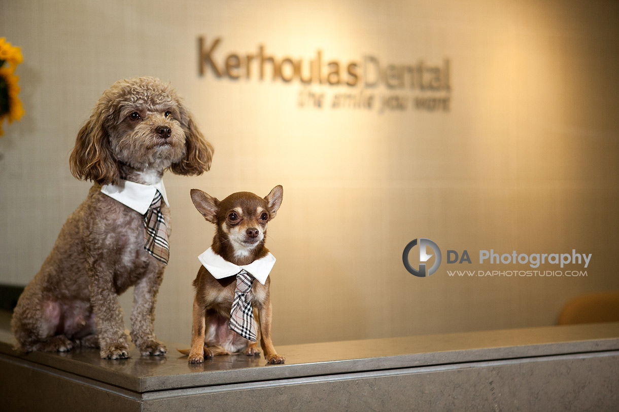 Niko & Chino ready for you at the reception desk - DA Photography