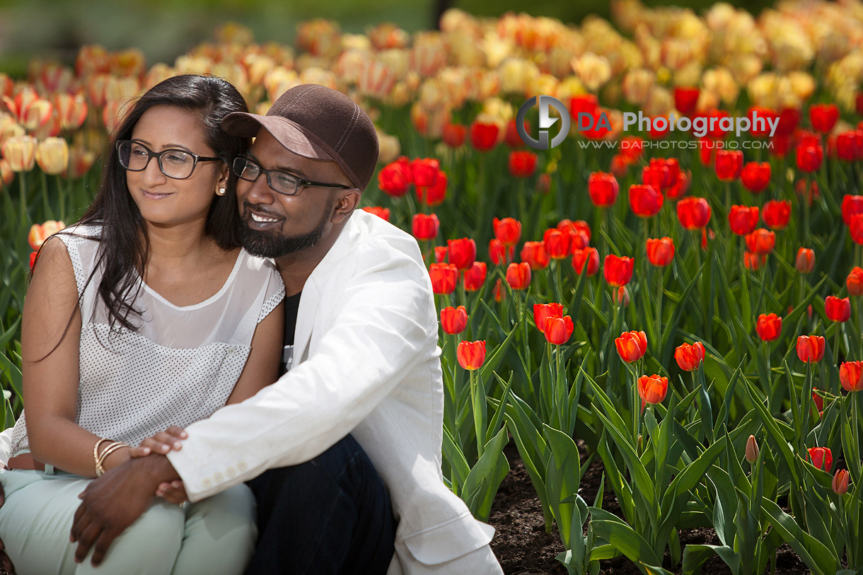 Tulips filed at the park - Engagement Photographer