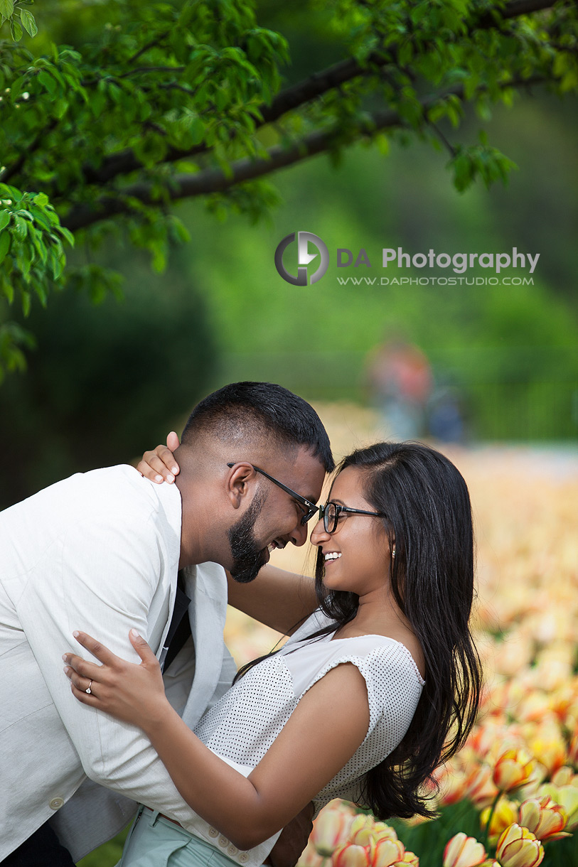 Tulips - Engagement Photographer