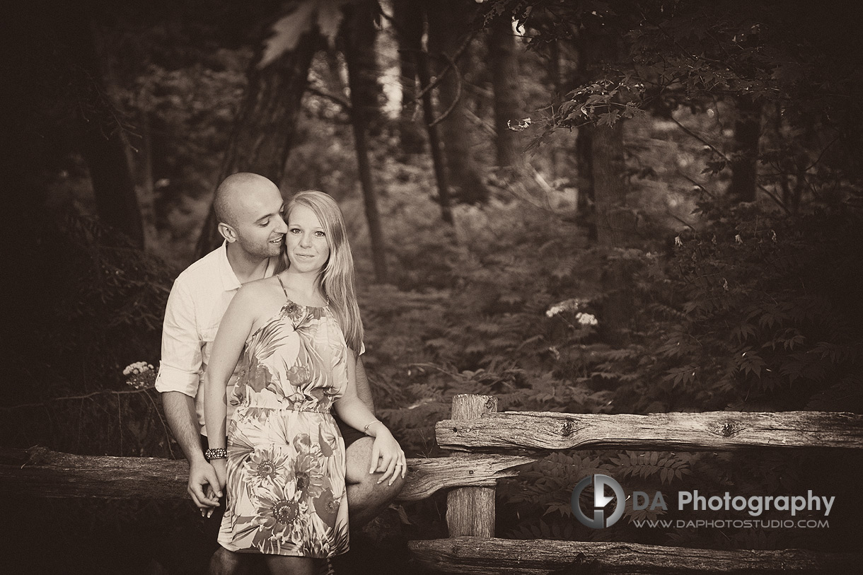 In the forest - Engagement photographer