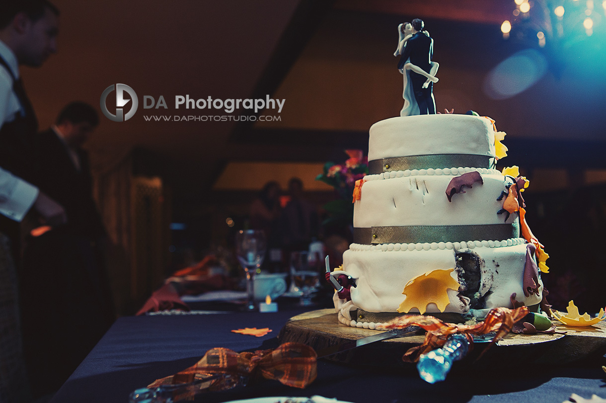 Ninja Wedding Cake! - DA Photography - Wedding Photographer