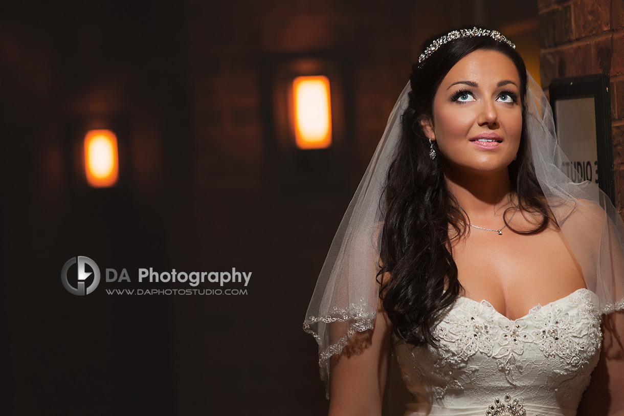 Dramatic Photo of Bride - Wedding Photography by Dragi Andovski - Terrace On The Green - Brampton, ON