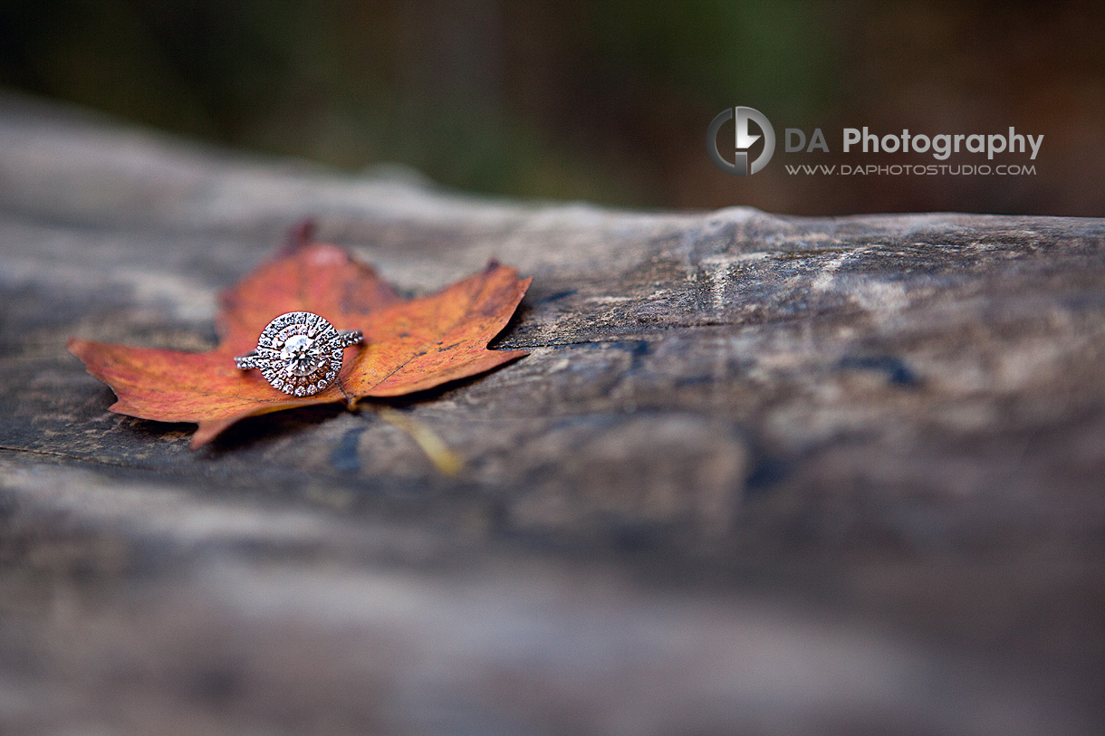 Fall Engagement Ring Image - Wedding Photography by Dragi Andovski - Albion Falls, Hamilton ON