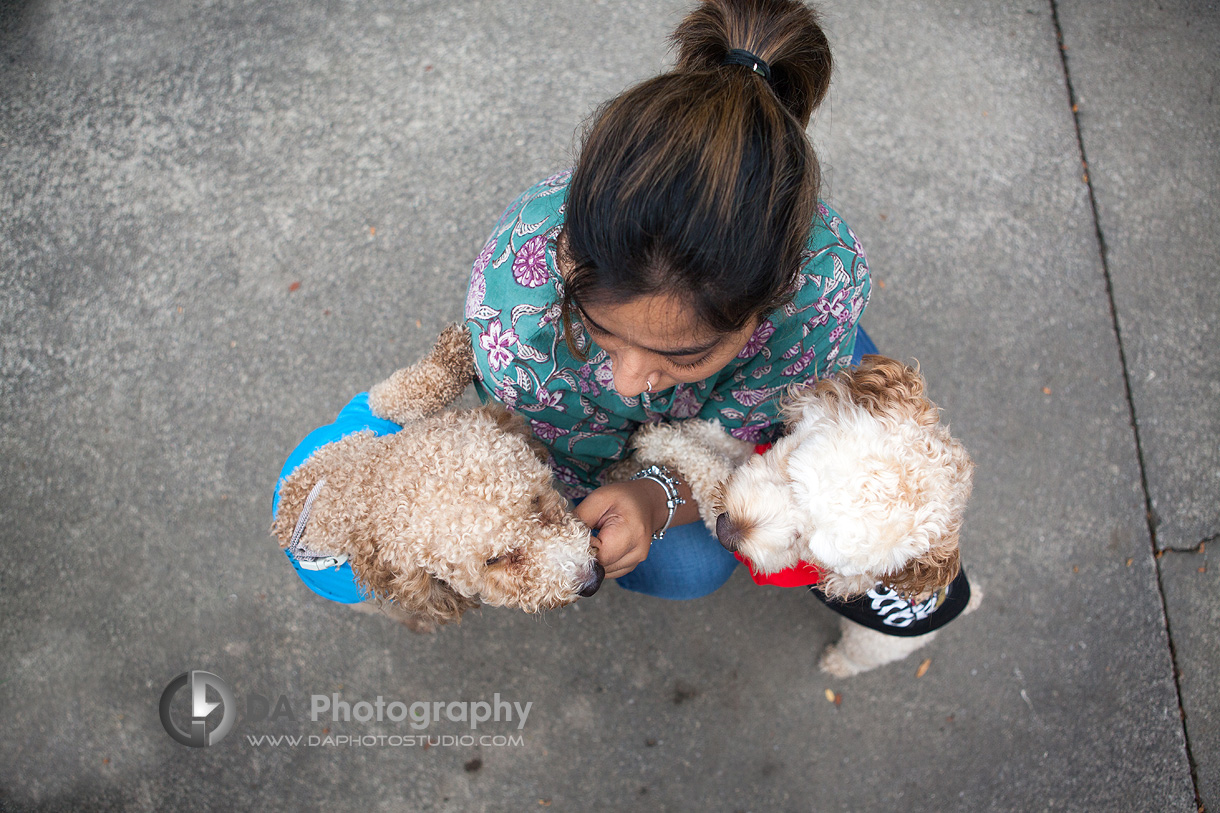 Creative Outdoor Photo Session with Dogs - Family & Pet Photography by Dragi Andovski - www.daphotostudio.com