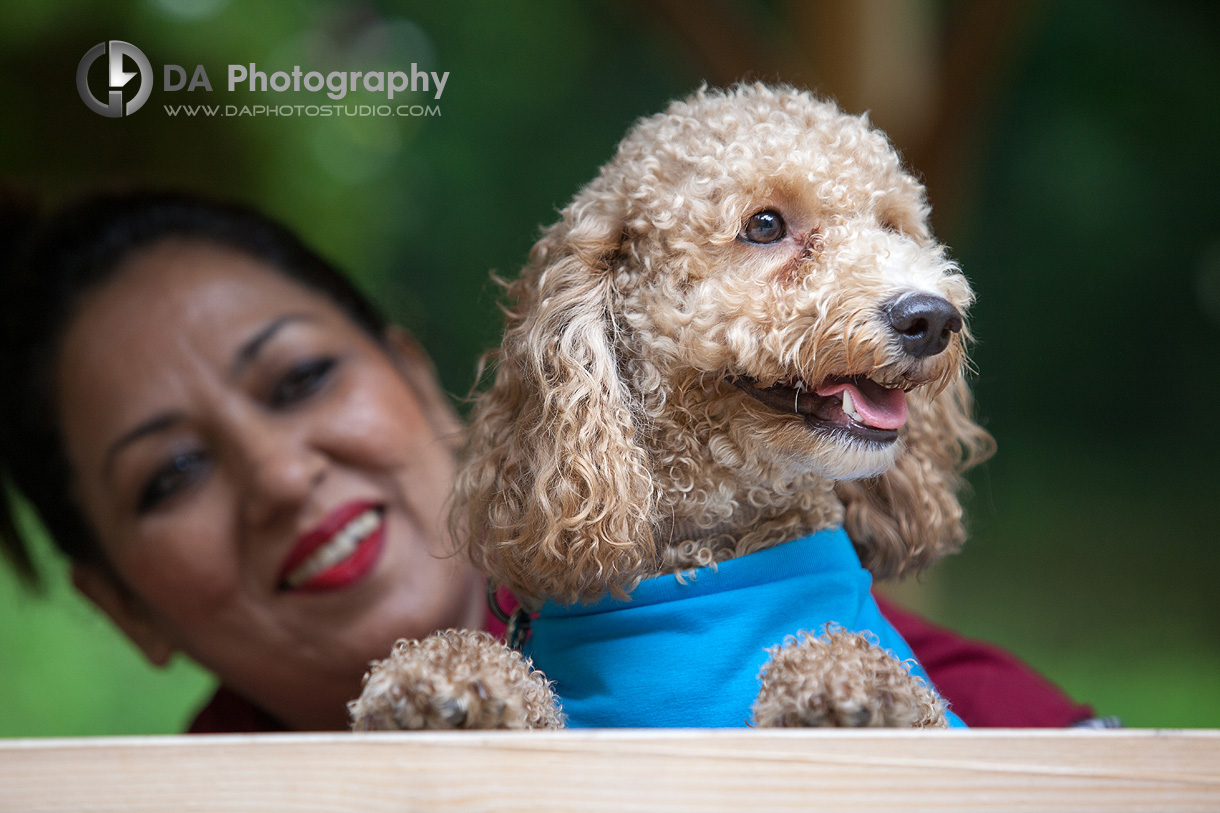 Owner & Dog Lifestyle Photo - Family & Pet Photography by Dragi Andovski - www.daphotostudio.com