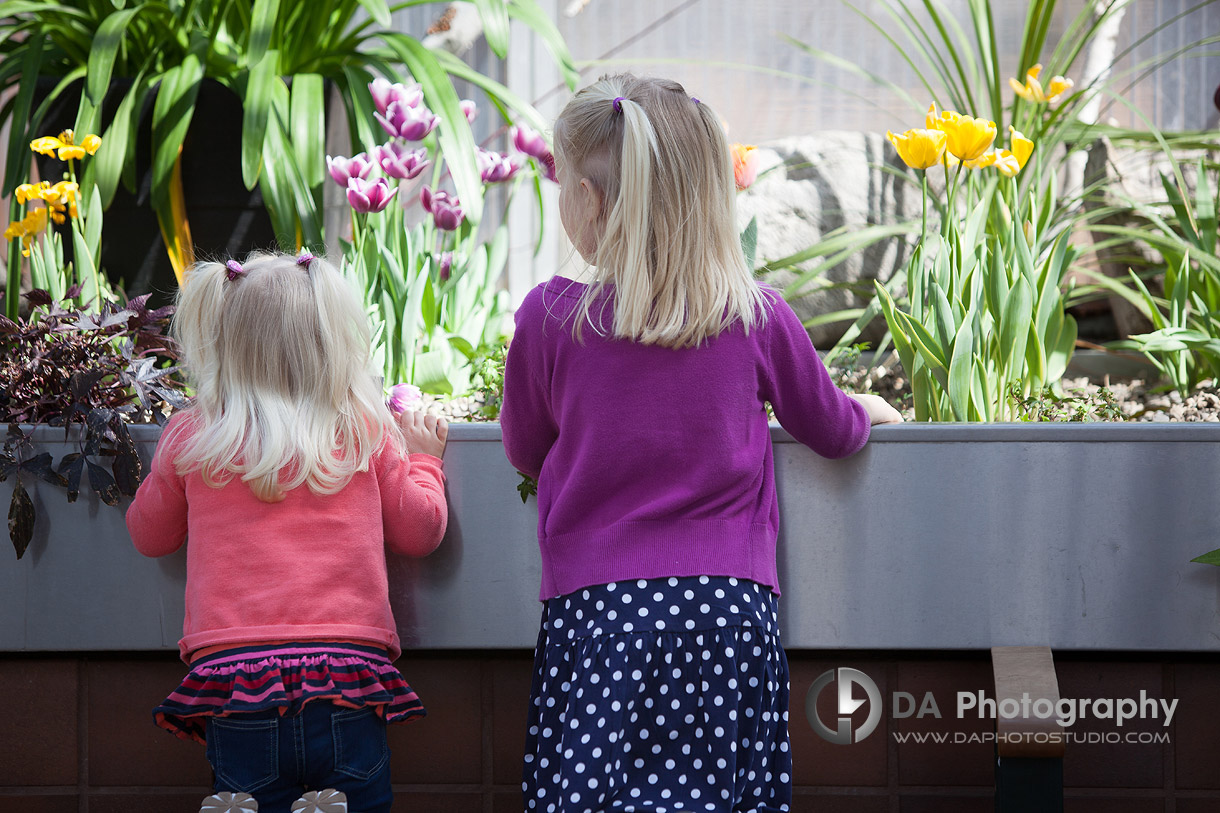 Admiring the Flowers - On Location Session - Family Photography by Dragi Andovski - Burlington's Royal Botanical Gardens, ON