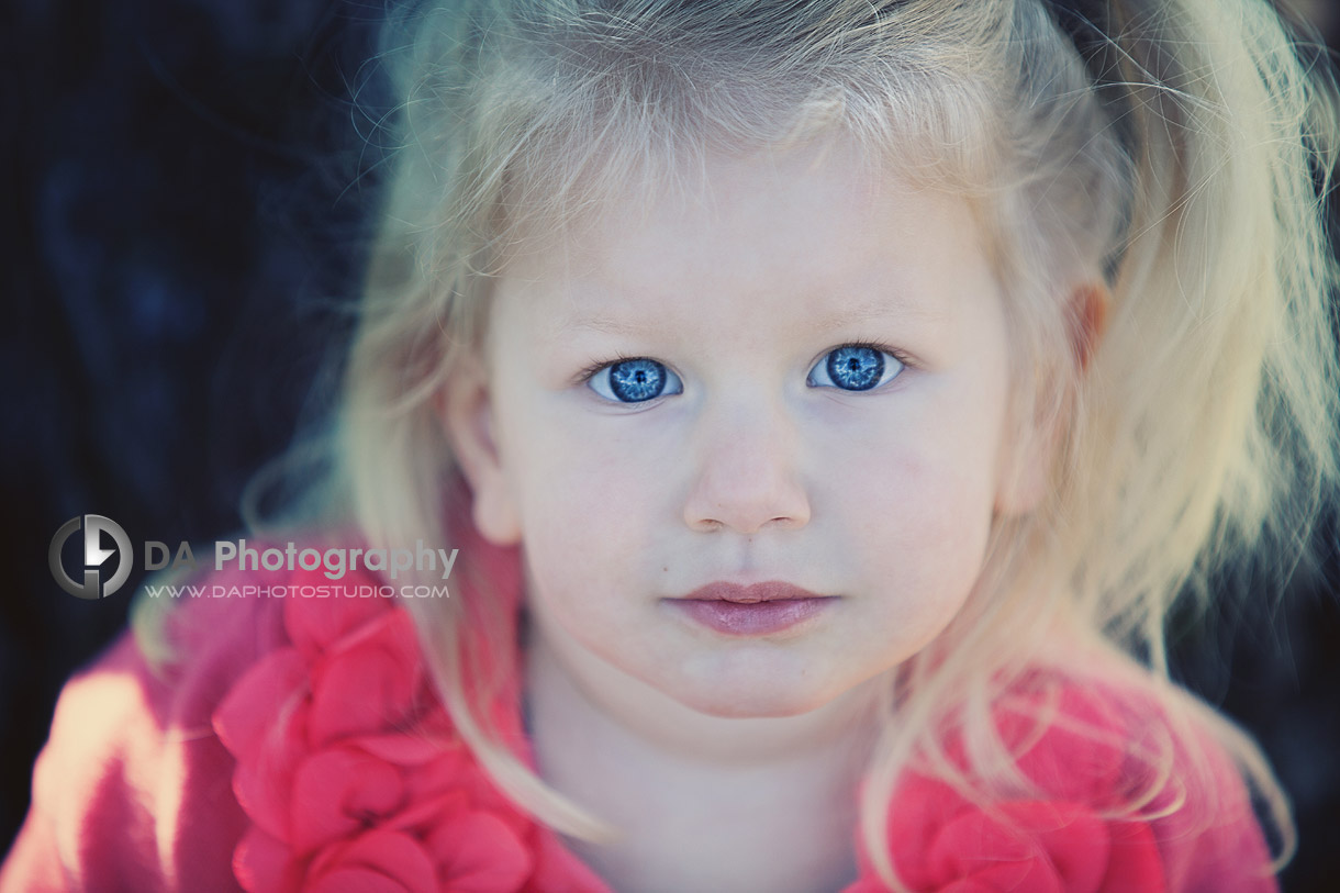 The Toddler With The Blue Eyes - Family Photography by Dragi Andovski - Burlington's Royal Botanical Gardens, ON