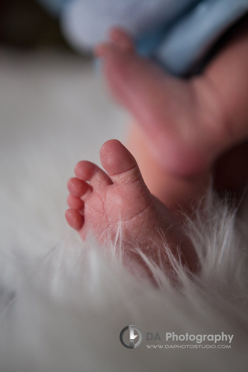 Little baby feet - Details in Newborn photography by DA Photography - www.daphotostudio.com