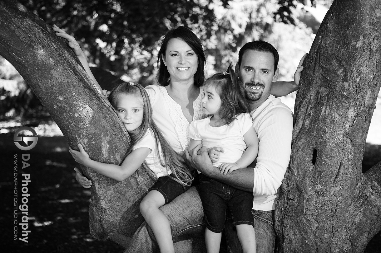 Family portrait on the tree - at Gairloch Gardens, Oakville by DA Photography , www.daphotostudio.com