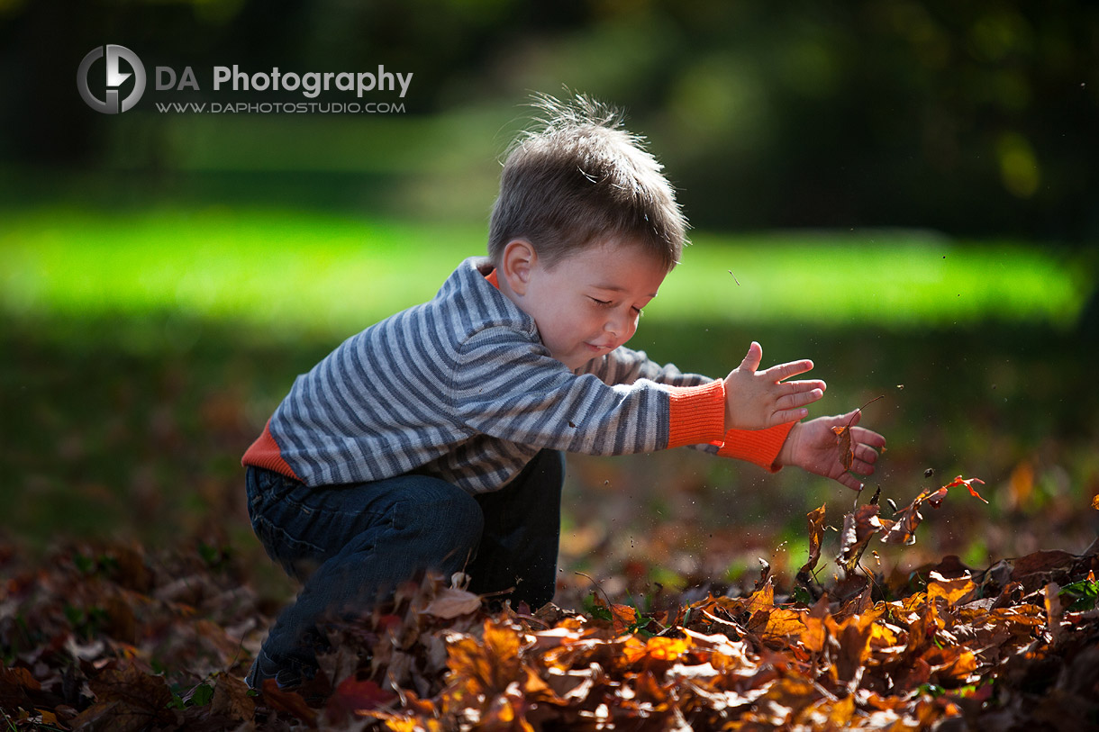 Toddler Play with leaves - Heart Lake Conservation Area, Brampton by DA Photography , Children  Photography