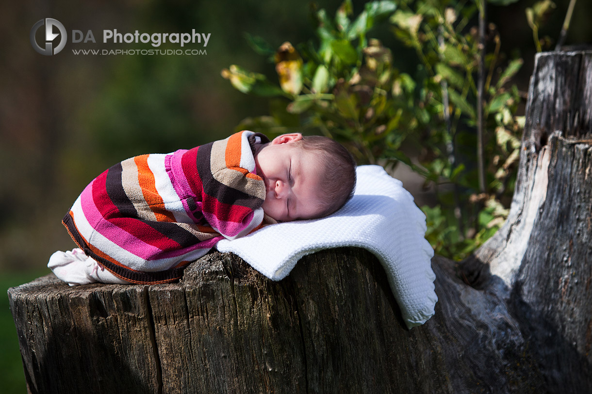Portrait of newborn baby onto real wooden log - Heart Lake Conservation Area, Brampton by DA Photography ,Newborn Photography
