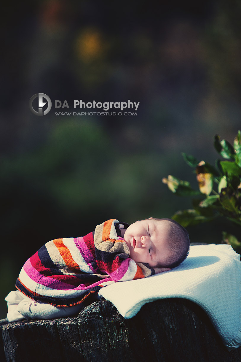 Portrait in outdoor environment of newborn baby - Heart Lake Conservation Area, Brampton by DA Photography ,Newborn Photography