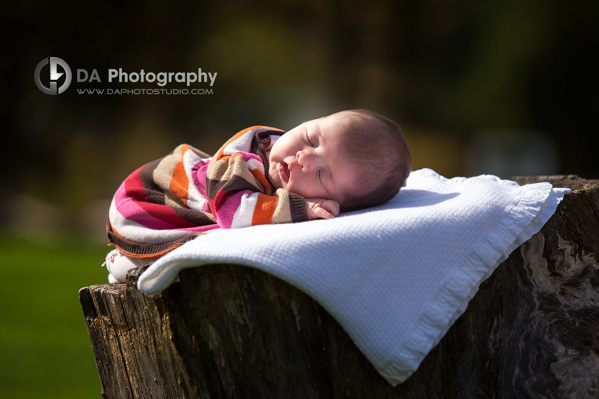 The newborn baby in the nature - Heart Lake Conservation Area, Brampton by DA Photography ,Newborn Photography
