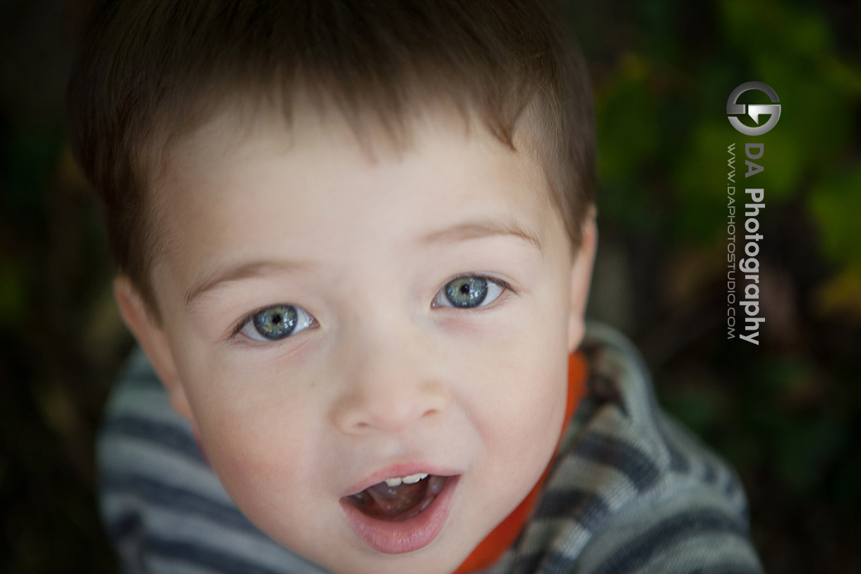 Toddler's Portrait - Heart Lake Conservation Area, Brampton by DA Photography , Children  Photography
