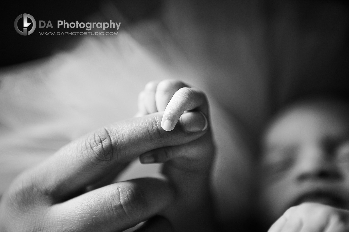 The small baby hands - by DA Photography  Family photographer - www.daphotostudio.com