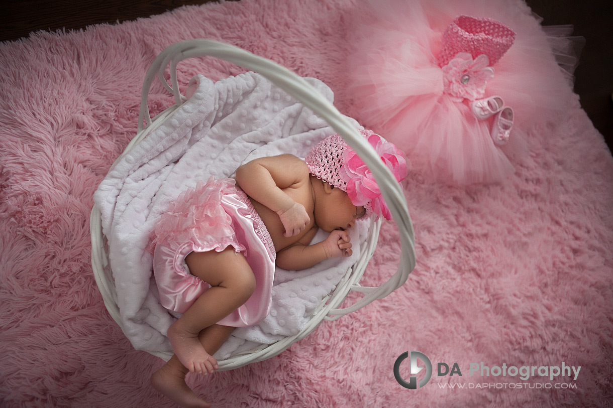 Newborn baby in a basket  - by DA Photography  Newborn photographer - www.daphotostudio.com