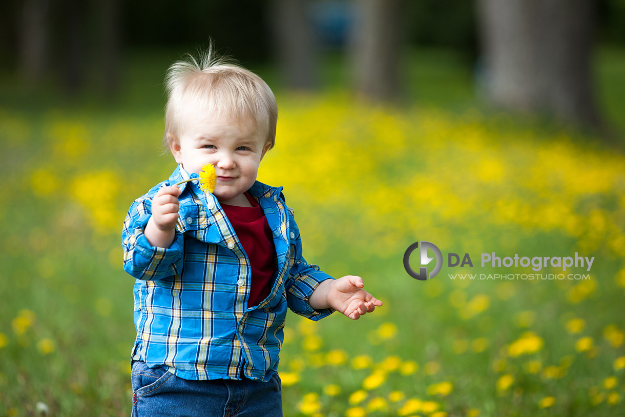 Toddler in Spring with dandelion - Children Photography by Dragi Andovski at Kelso, ON