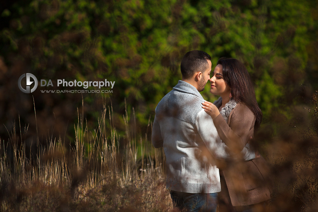 Two in love - by DA Photography at Webster's Falls - www.daphotostudio.com