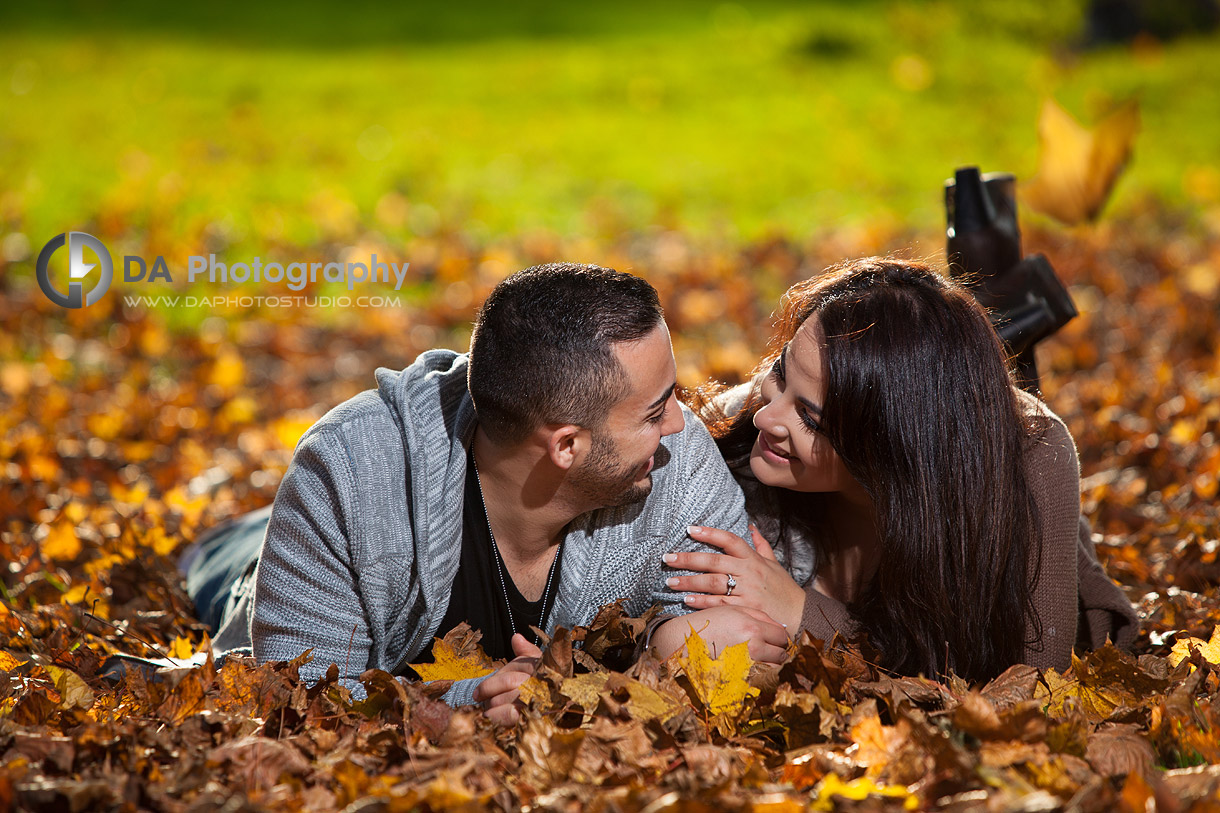 On the fallen leaves in Autumn - by DA Photography at Webster's Falls - www.daphotostudio.com