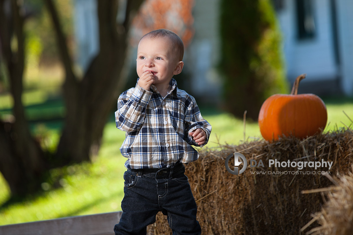 Toddler's Portrait on Thanksgiving with the pumpkins - Thanksgiving Fall Portraits by DA Photography - www.daphotostudio.com