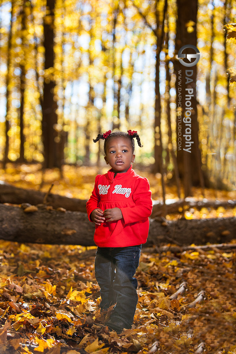 Toddler in Fall - by DA Photography - Family Photographer in Mississauga, www.daphotostudio.com