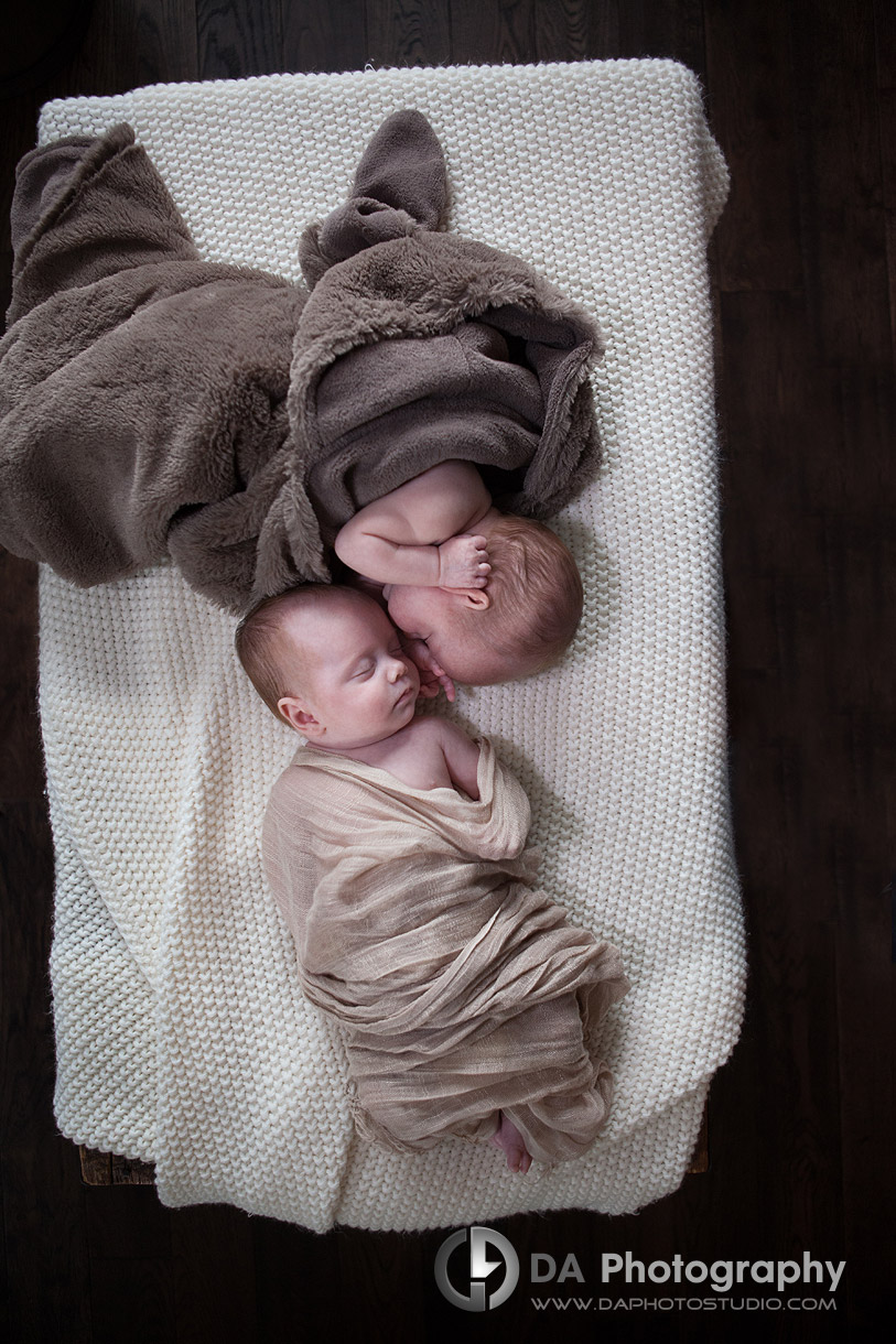 The same but still different baby twins -Newborn babies by DA Photography - www.daphotostudio.com