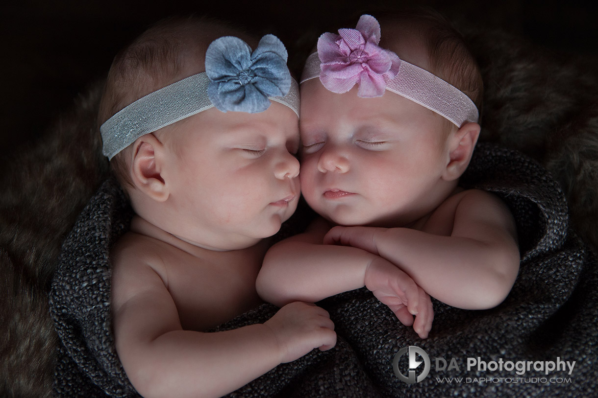 Twin newborn sisters snuggled together -Newborn babies by DA Photography - www.daphotostudio.com