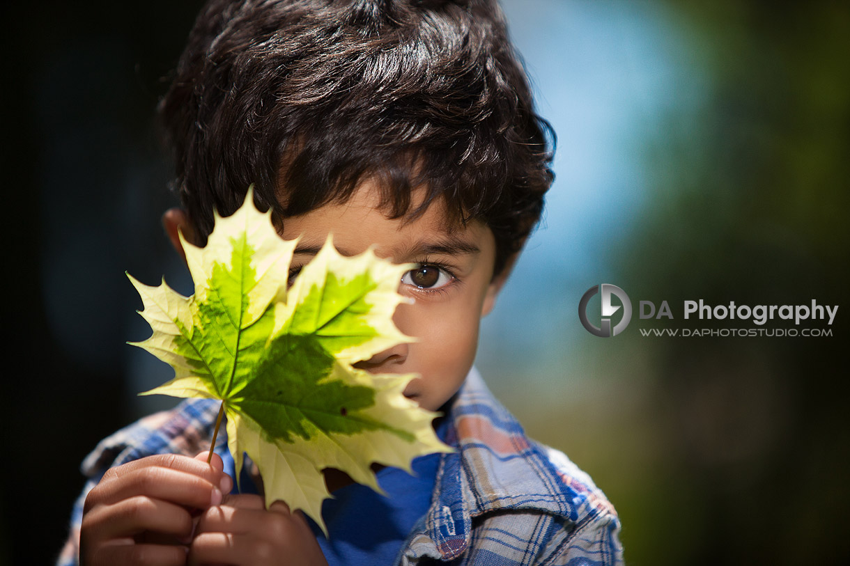 The hidden look behind the maple leaf - by DA Photography - Gairloch Gardens, ON - www.daphotostudio.com