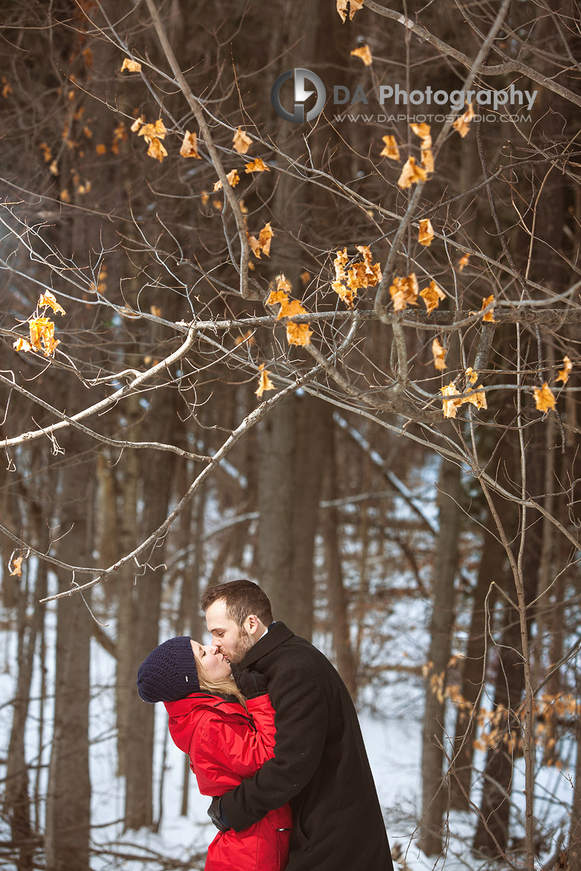 Winter warm snuggle into the forest - Winter Engagement photo shoot by DA Photography, www.daphotostudio.com