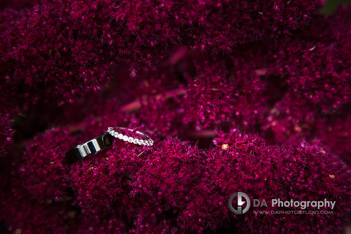 Wedding Rings at Wedding in Port Dover