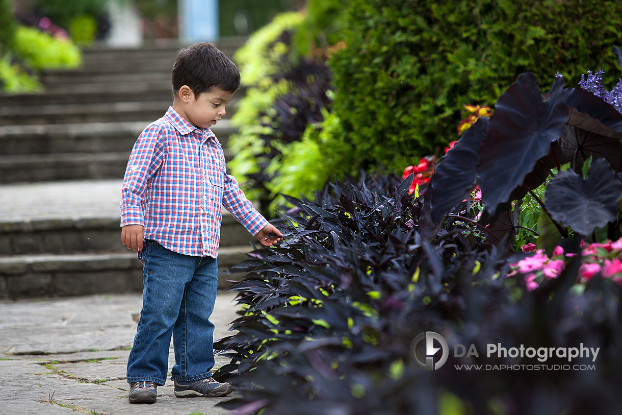 Spring Family Photo Locations in Oakville