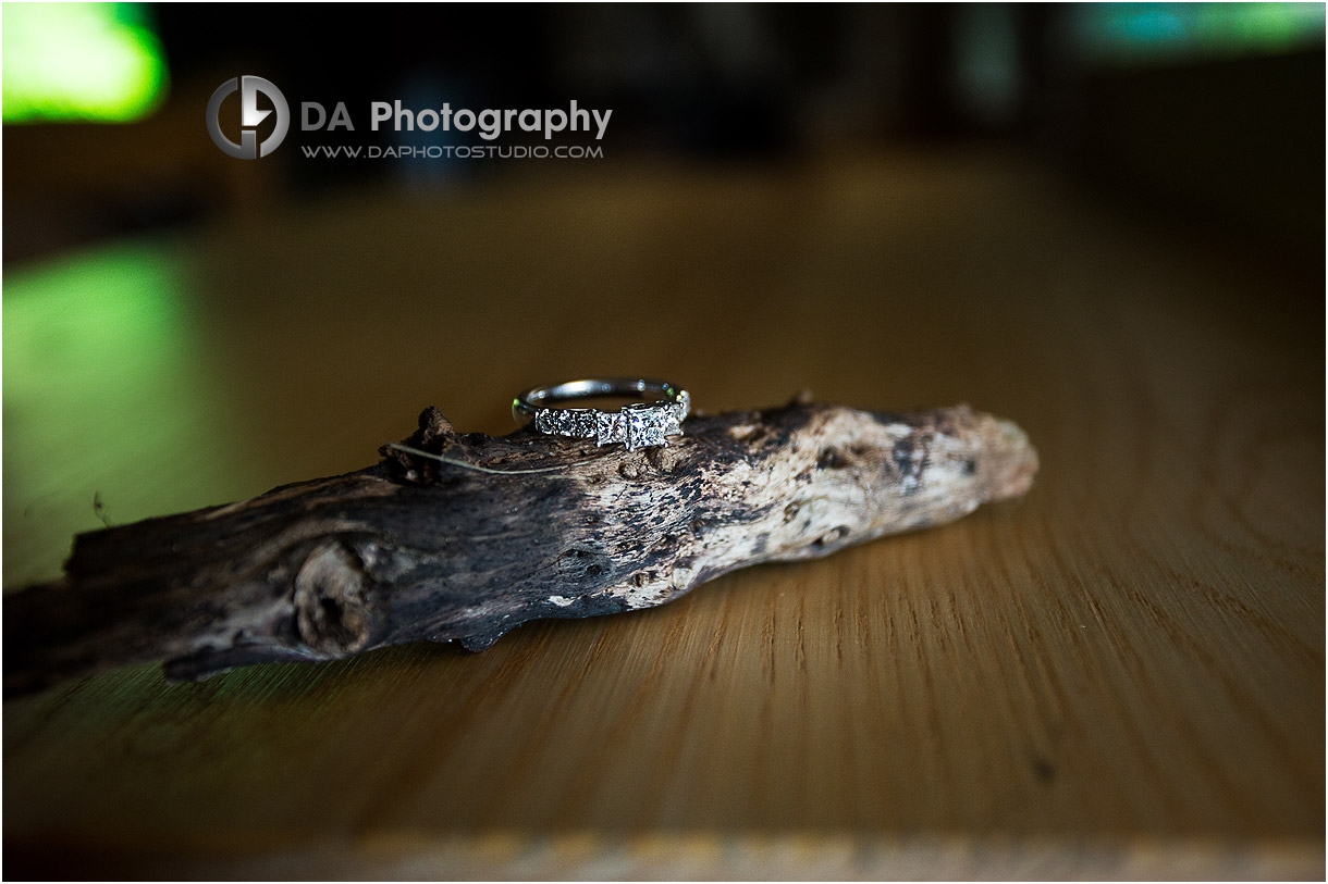 Photos of Engagement Ring at Long Point Eco-Adventures