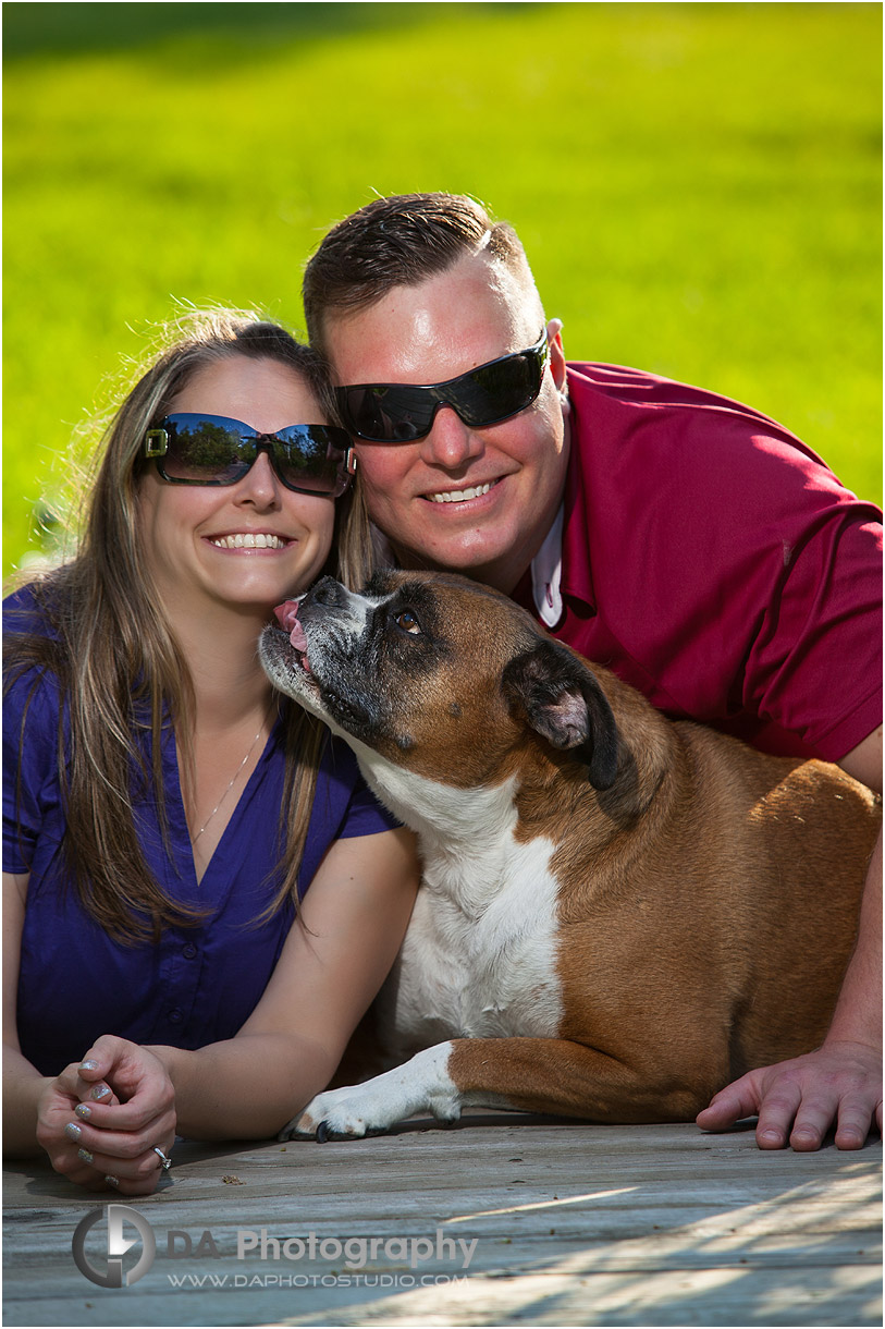 Dog in Creative Engagement Photo