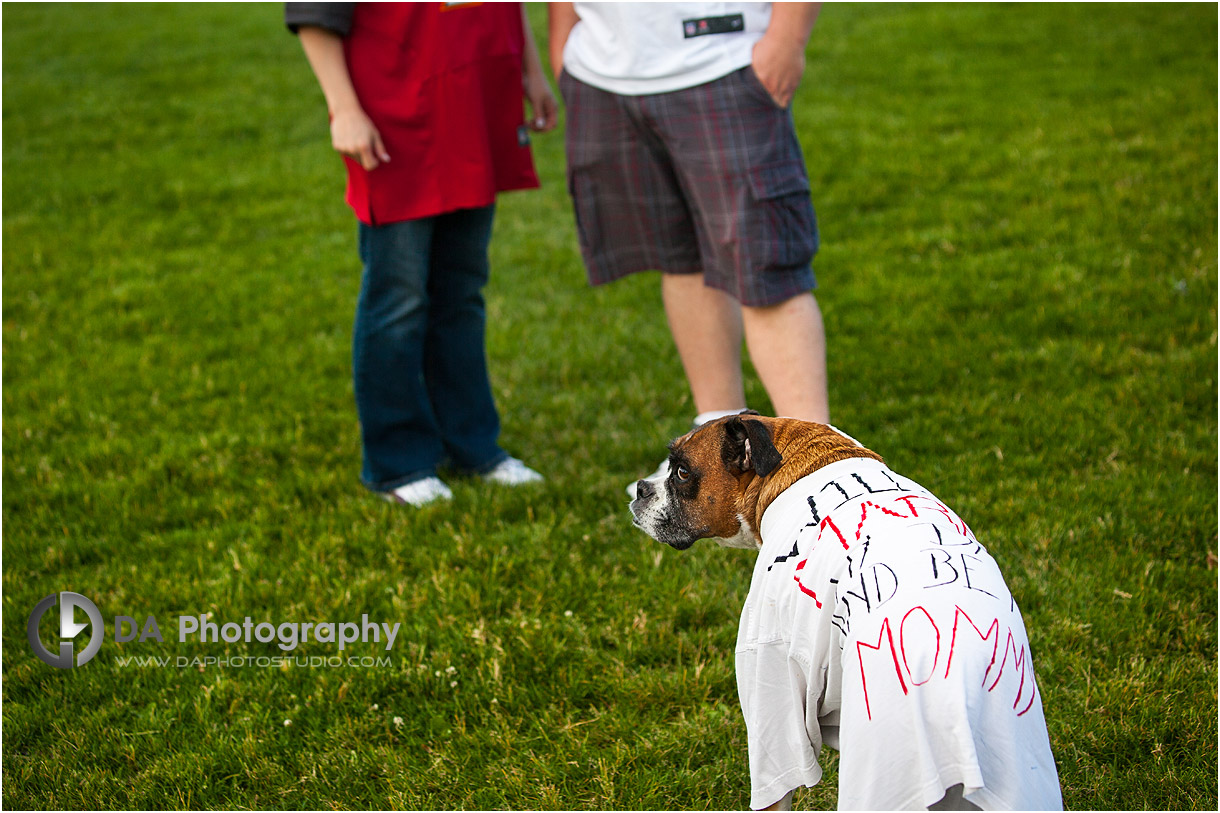 Creative Engagement Photos with a dog in Caledon