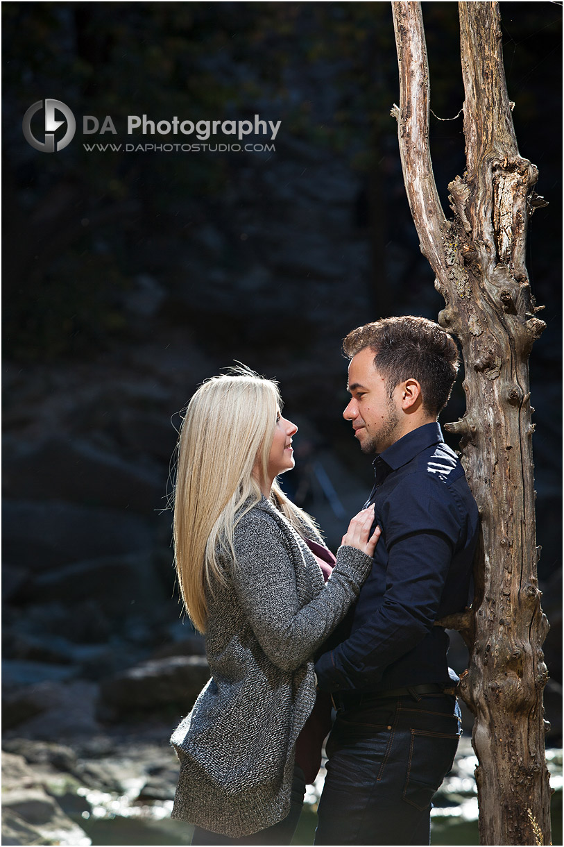 Albion Falls Engagement Photographers