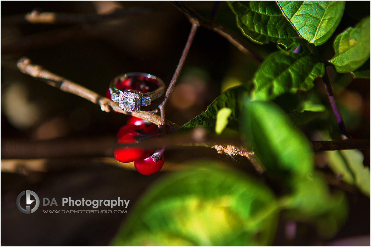 Engagement Ring at Albion Falls