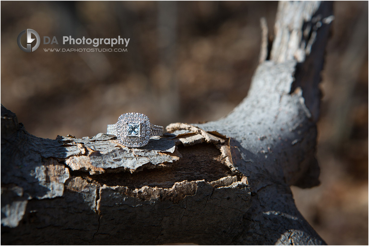 Engagement Ring at Mill Pond in MIlton