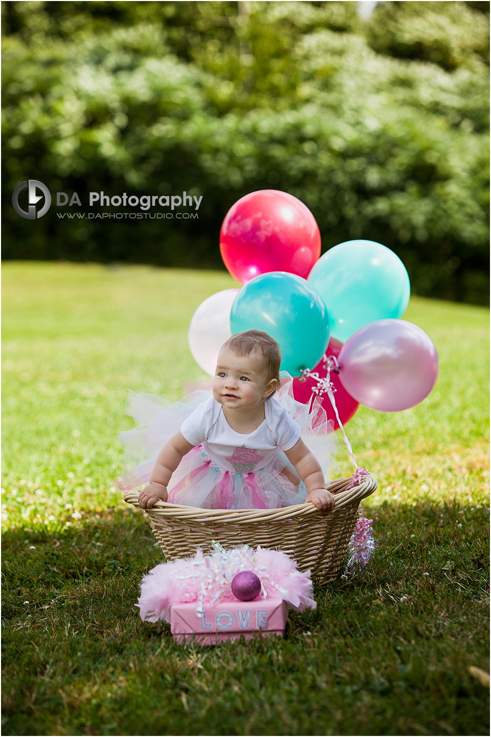 Baby Birthday Portraits at Heart Lake Conservation Area