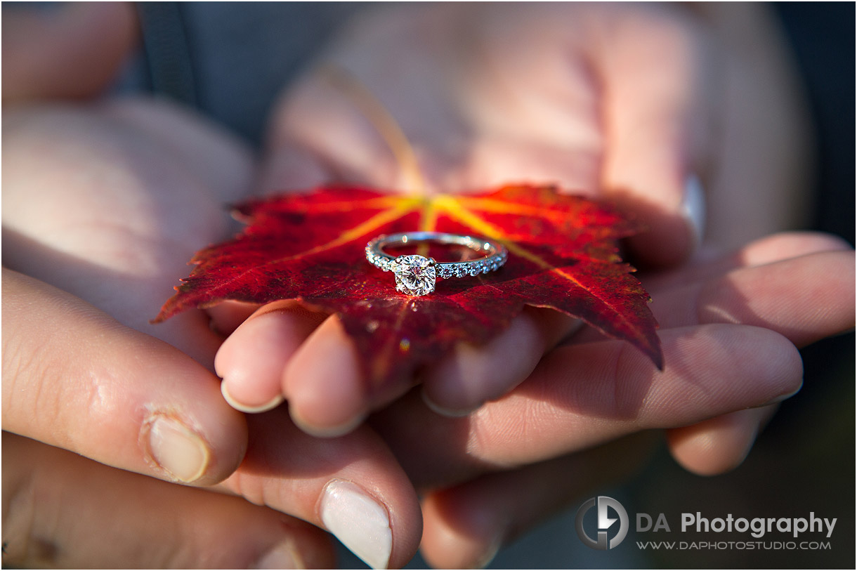 Engagement Ring in Fall