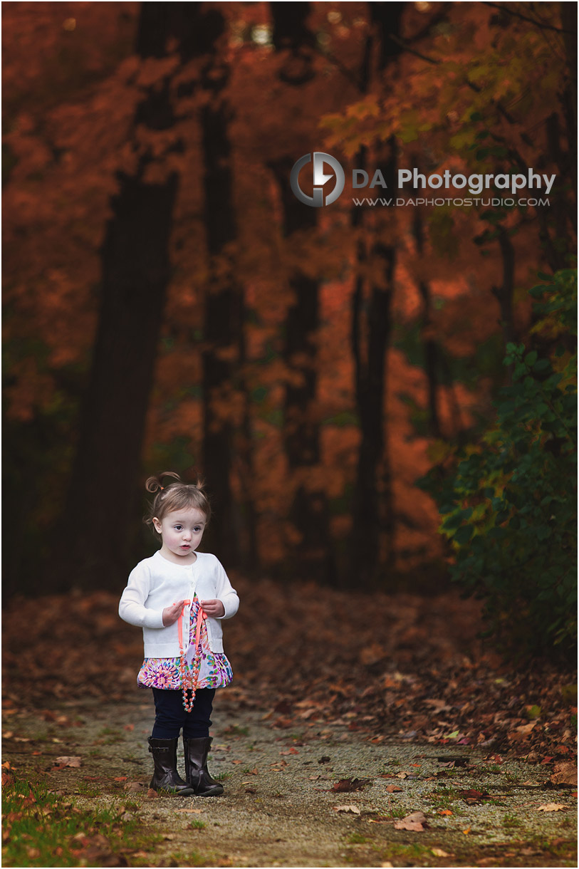 Family Fall Picture in Guelph