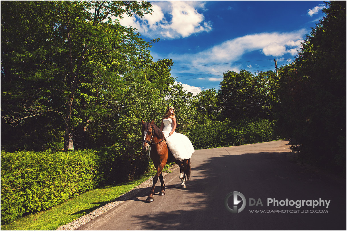 Milcroft Inn Wedding Pictures