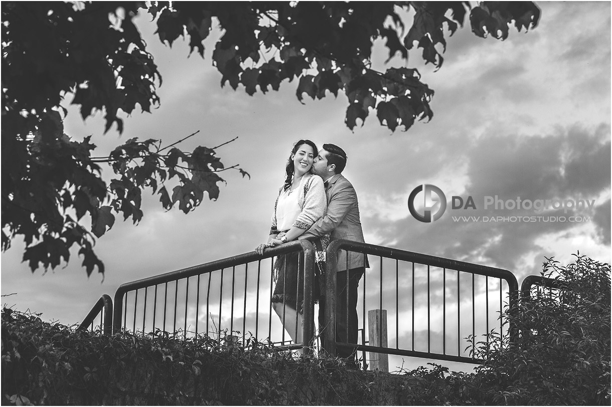 Best fall Engagement photos in Cambridge