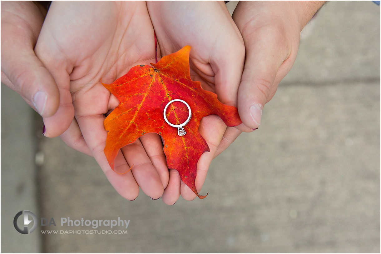 Engagement Ring in Fall