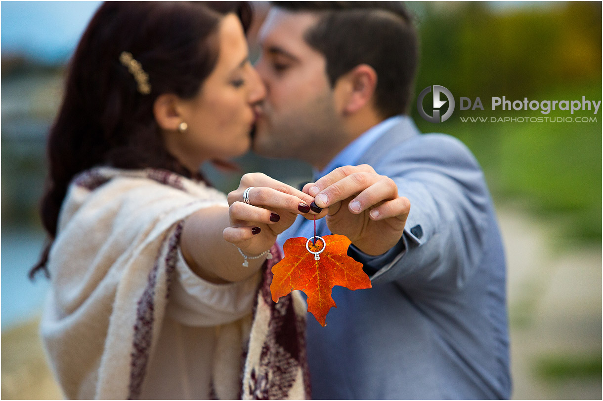 Fall Engagement in Cambridge