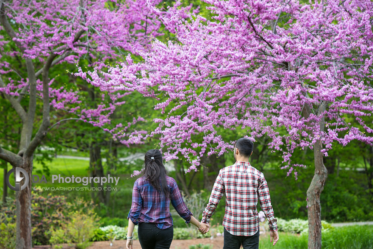 Mississauga Engagement Spring Session