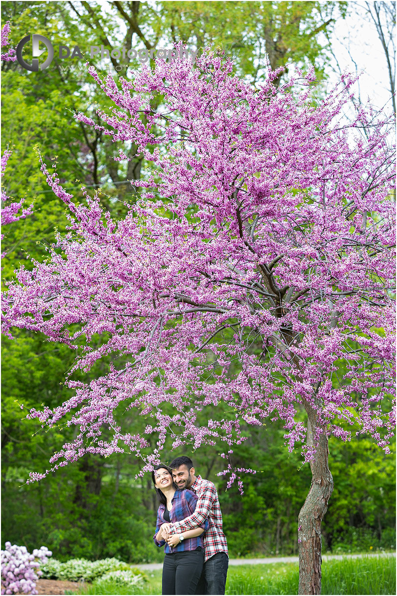 Mississauga Spring Session